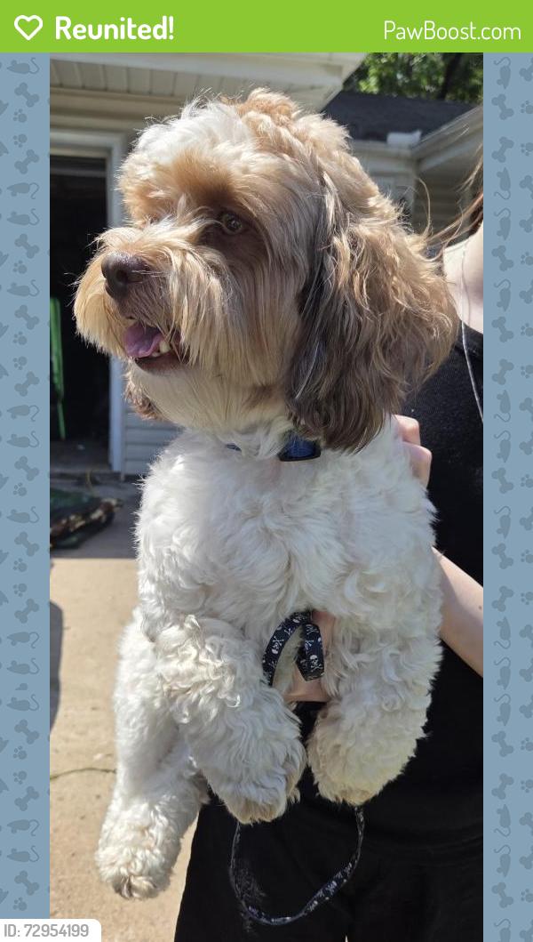 Reunited Male Dog last seen Freemont ave, Brooklyn Center, MN 55430