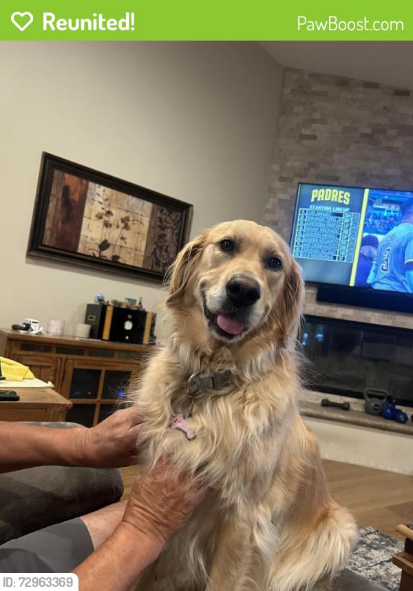 Reunited Female Dog last seen Ridge Rd/Melrose Dr.   Vista, Vista, CA 92056