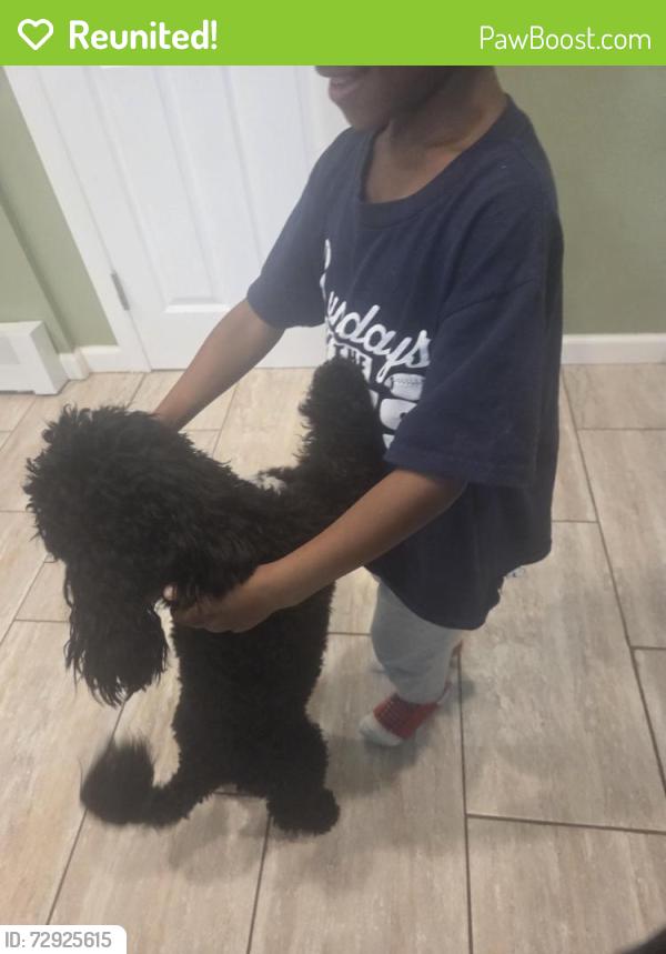 Reunited Male Dog last seen Park Hill Avenue , Staten Island, NY 10304