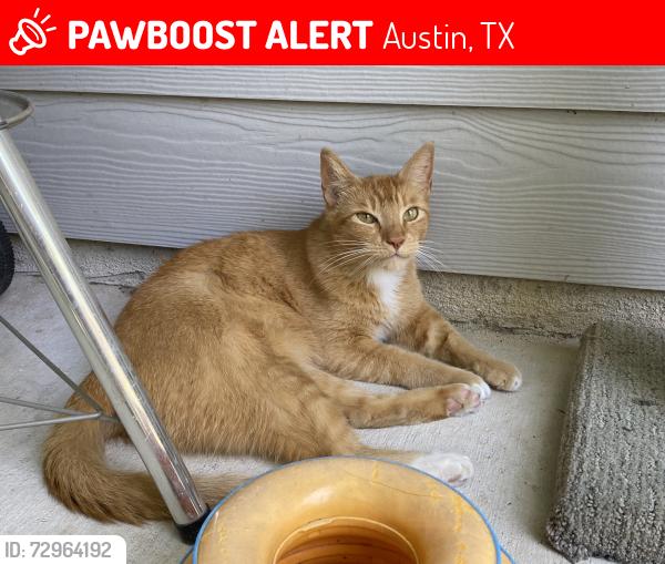 Lost Male Cat last seen Valdez / Vargas /montana, Austin, TX 78741