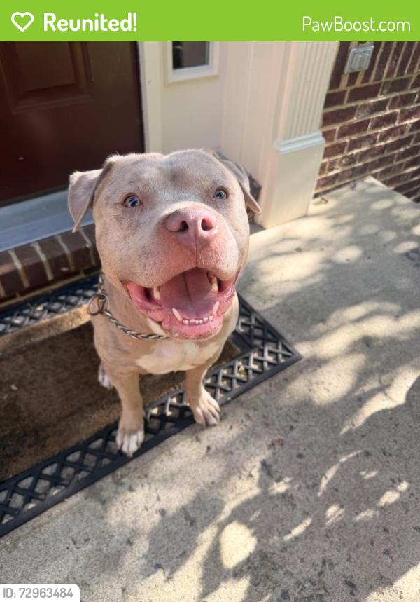 Reunited Male Dog last seen Anchor mill lace and est manor dr, Gainesville, VA 20155