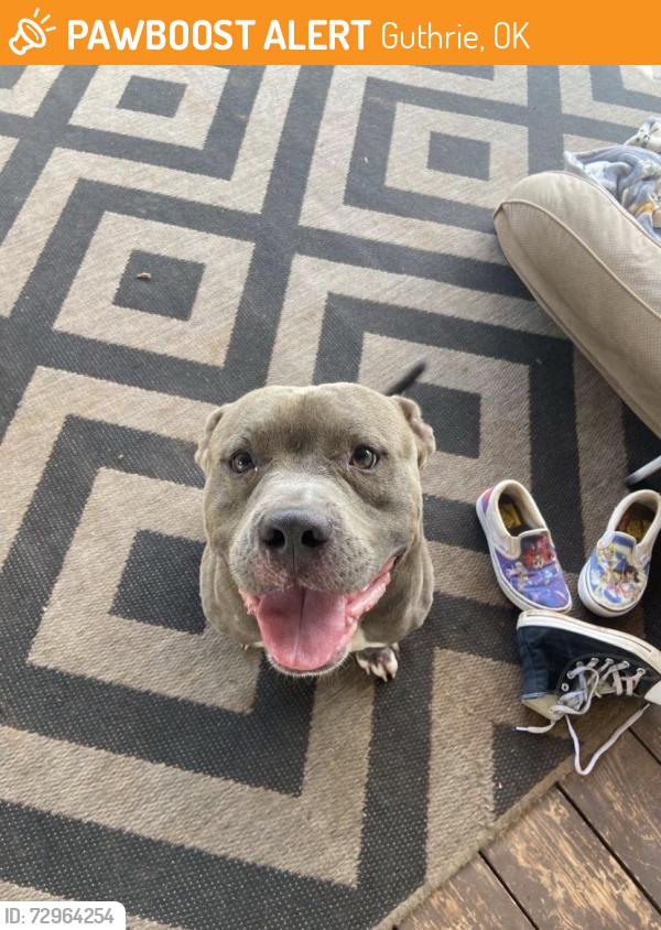 Found/Stray Male Dog last seen Sooner, Guthrie, OK 73044