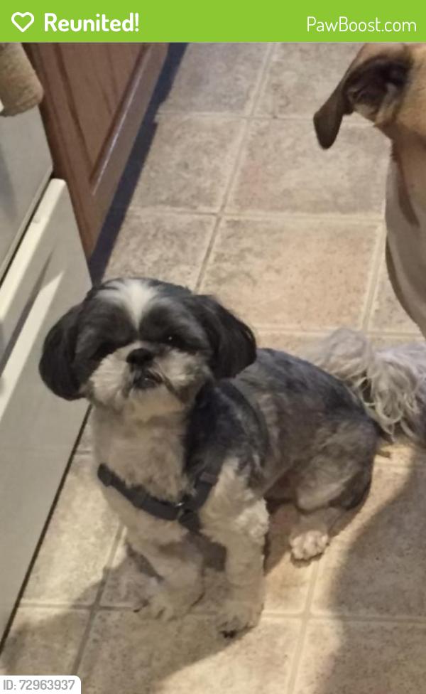 Reunited Male Dog last seen Prescott and Dora, Wichita, KS 67209