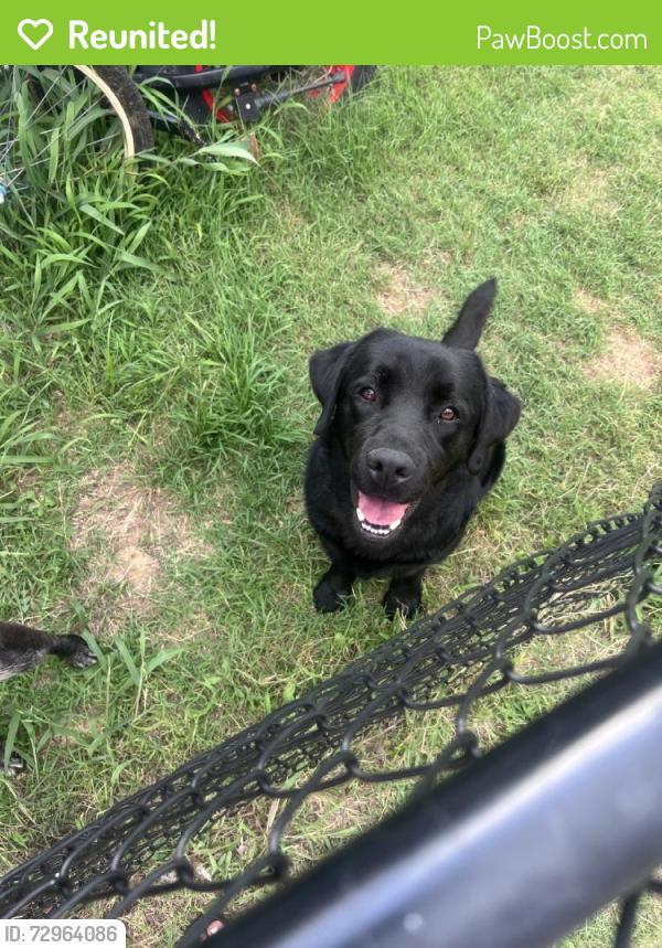 Reunited Male Dog last seen Near McVoid Rd, Springtown, TX 76082, USA, Springtown, TX 76082