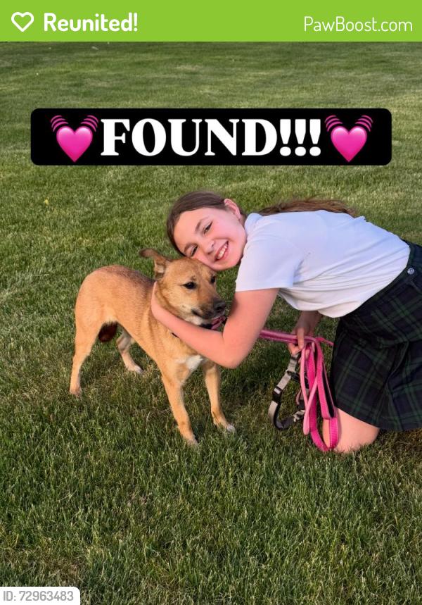 Reunited Female Dog last seen Near Colony Lake Park, Schaumburg, IL 60194
