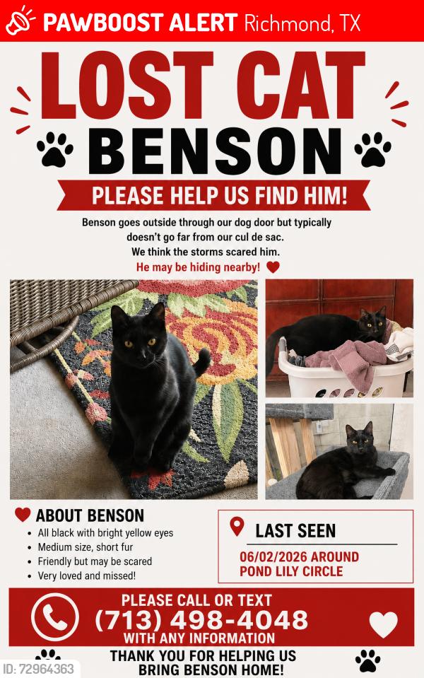 Lost Male Cat last seen Creekside Ranch Neighborhood , Richmond, TX 77406