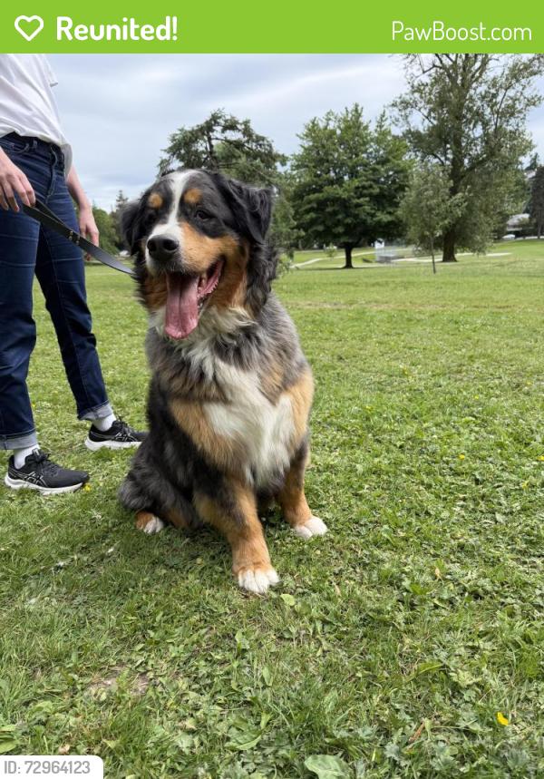 Reunited Male Dog last seen Quilchena park, Vancouver, BC V6J 4B5