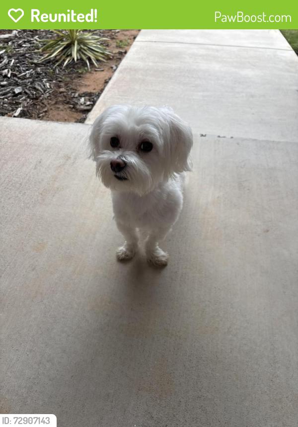 Reunited Unknown Dog last seen Oakdale Ridge, Edmond, Oklahoma City, OK 73013