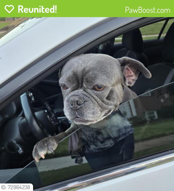 Reunited Unknown Dog last seen Elvaton Road and Wende Way, Glen Burnie, Glen Burnie, MD 21108