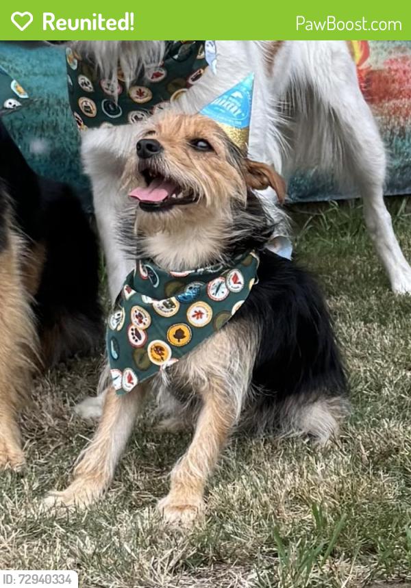 Reunited Male Dog last seen Near Pacific Ave, Tacoma, WA 98408, USA, Tacoma, WA 98408