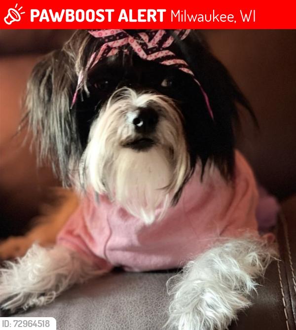 Lost Female Dog last seen Near s 14th, Milwaukee, WI 53215