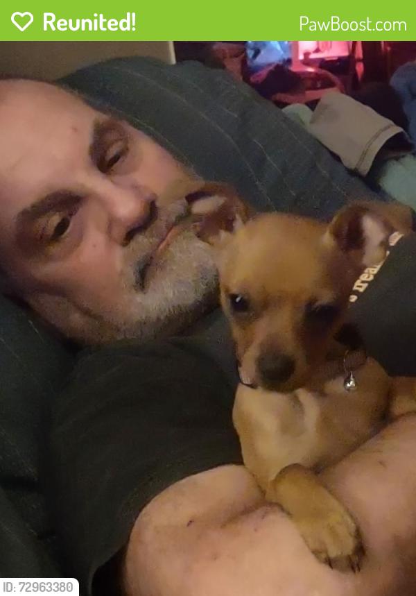 Reunited Female Dog last seen Williams rd, Munnsville, NY 13409