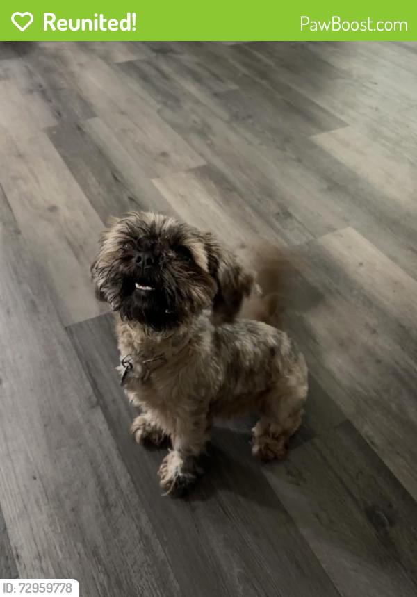 Reunited Female Dog last seen Custer and 27th street, Wichita, KS 67217