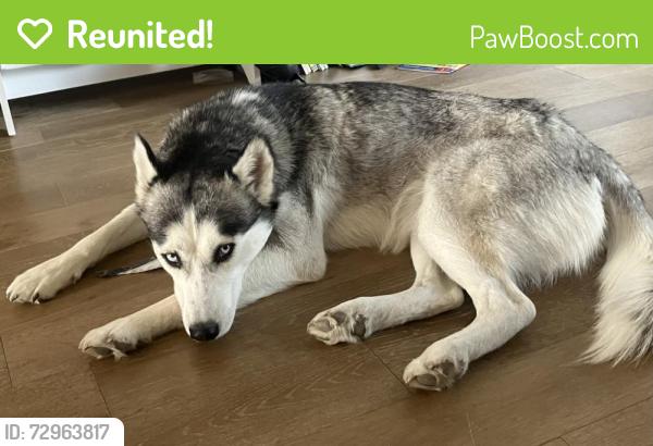 Reunited Female Dog last seen University Hills, Denver, CO 80222