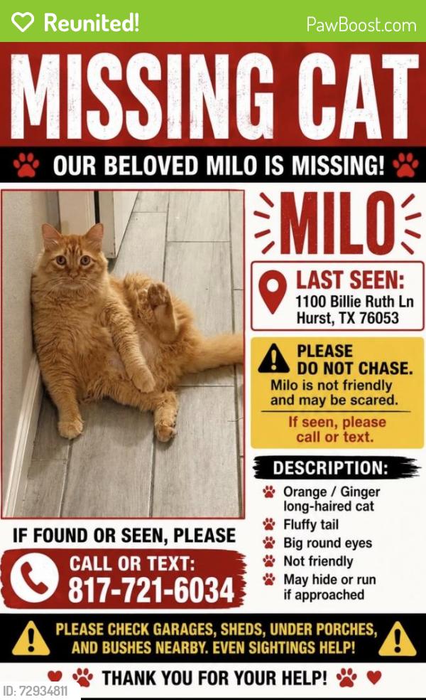 Reunited Male Cat last seen Bedford euless and precinct rd, Hurst, TX 76053