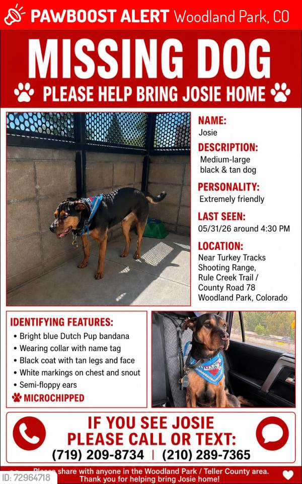 Lost Female Dog last seen Turkey Track Shooting Range, Woodland Park, CO 80863