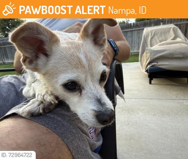 Found/Stray Male Dog last seen Ustick & Santa Ana, Nampa, ID 83687