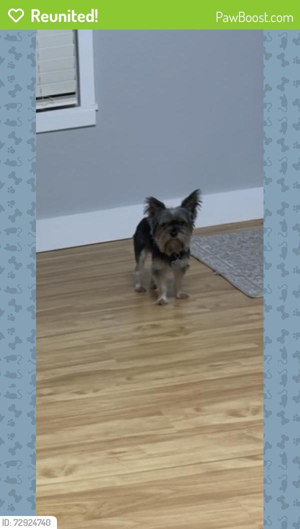 Reunited Male Dog last seen 21st ave N & fourth st N , Texas City, TX 77590
