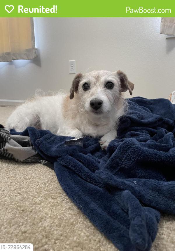 Reunited Female Dog last seen Near Mitc Dr, Wichita, KS 67210, USA, Wichita, KS 67210