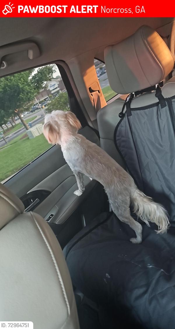 Lost Female Dog last seen Near S Norcross Tucker Rd, Norcross, GA 30093, Norcross, GA 30093