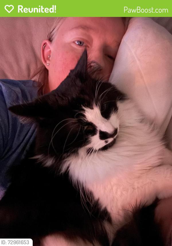 Reunited Male Cat last seen Goodyear boulevard across from New Heights Church of the Nazarene, Akron, OH 44305