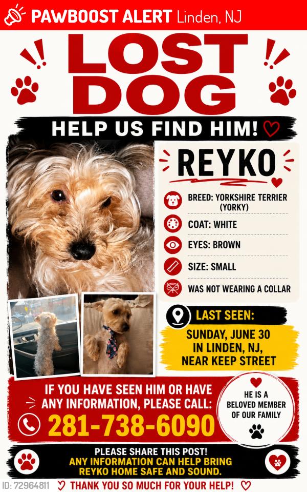 Lost Male Dog last seen Keep st, Linden, NJ 07036