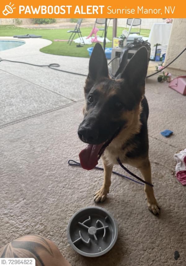 Found/Stray Unknown Dog last seen Sloan and stewert, Sunrise Manor, NV 89110