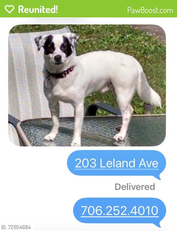 Reunited Male Dog last seen Near Leland Avenue , Rome, GA 30165