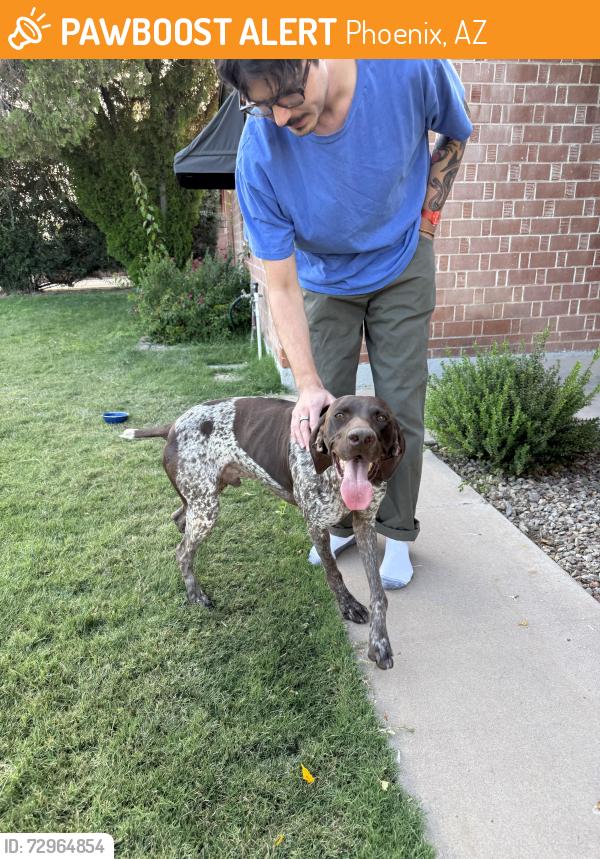 Found/Stray Male Dog last seen 19th Ave and Osborn , Phoenix, AZ 85015