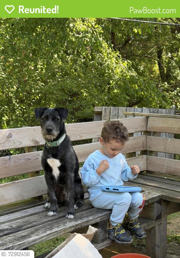 Reunited Male Dog last seen River run water park in new albany , New Albany, IN 47150
