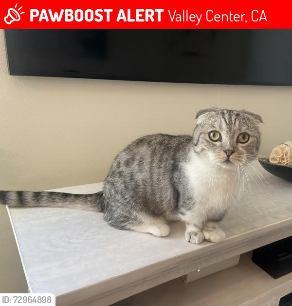 Lost Male Cat last seen Heritage Ln and Konyn Ct Park Circle, Valley Center, CA 92082