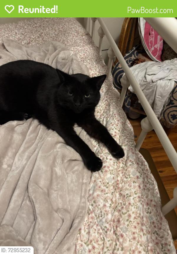 Reunited Male Cat last seen Maxwell Ave, Cheyenne, WY 82006