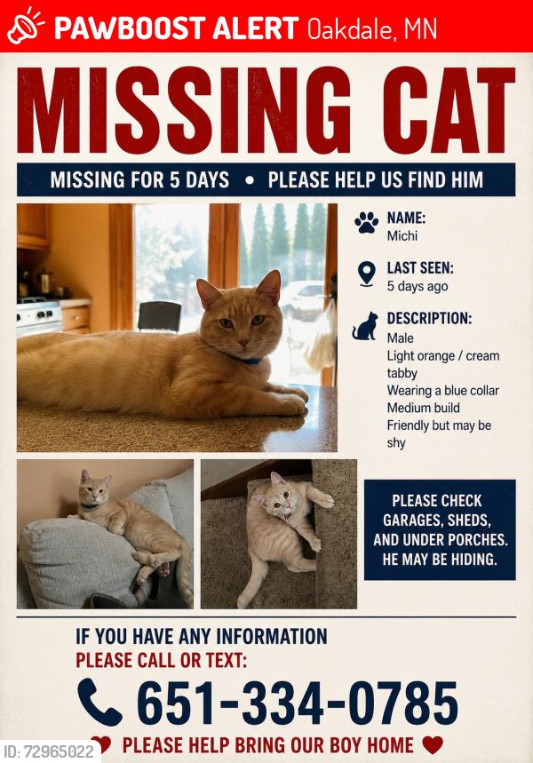 Lost Male Cat last seen North st paul, Oakdale, MN 55128