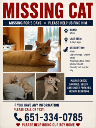 Lost Male Cat last seen North st paul, Oakdale, MN 55128