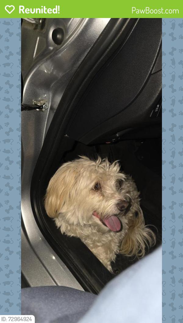 Reunited Male Dog last seen 49th st, San Bernardino, CA 92407