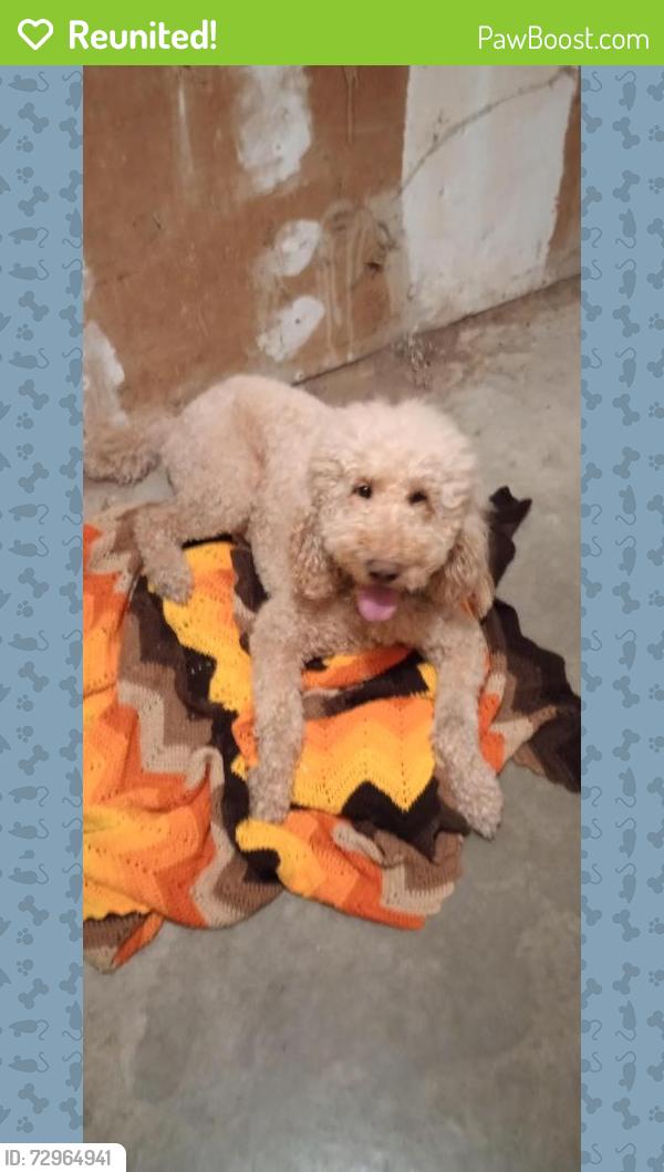 Reunited Male Dog last seen Next to Clark Rd and across the street from Wheelers Hay service, Modesto, CA 95358