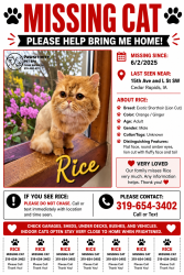 Reunited Male Cat last seen 15th and L St Sw, Cedar Rapids, IA 52404