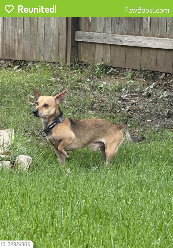 Reunited Male Dog last seen Bella Vista , San Antonio, TX 78253