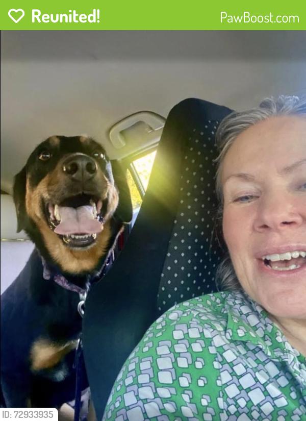 Reunited Female Dog last seen 83rd in Glisan, Portland, OR 97220