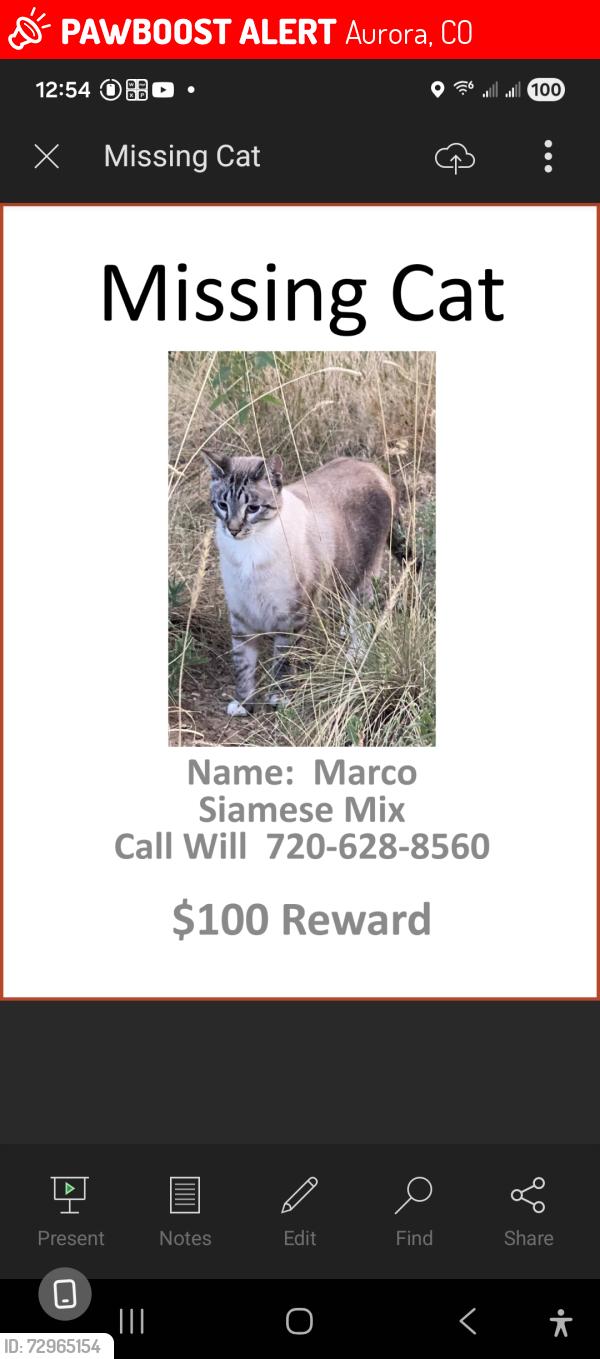 Lost Male Cat last seen FITZSIMONS Way and 28th, Aurora, CO 80011