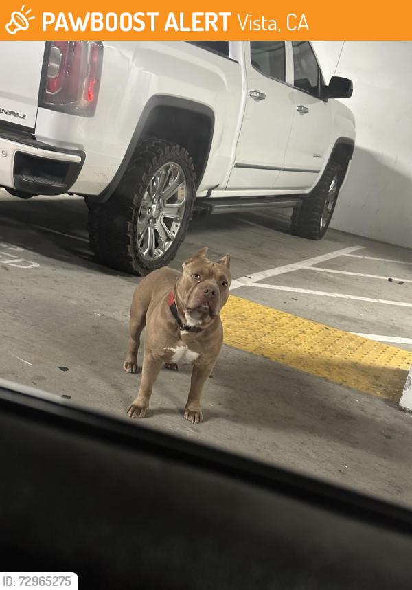 Found/Stray Male Dog last seen Mercantile st vista , Vista, CA 92083