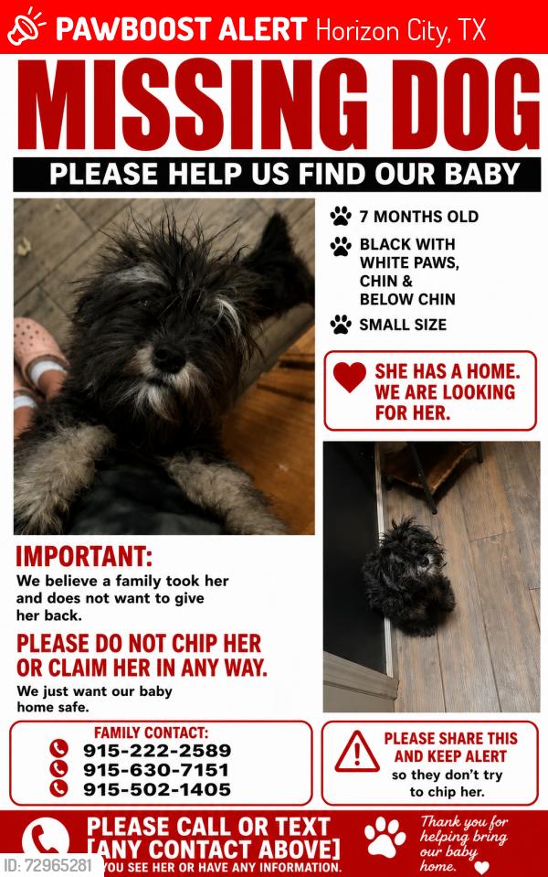 Lost Female Dog last seen Antwerp , Horizon City, TX 79928