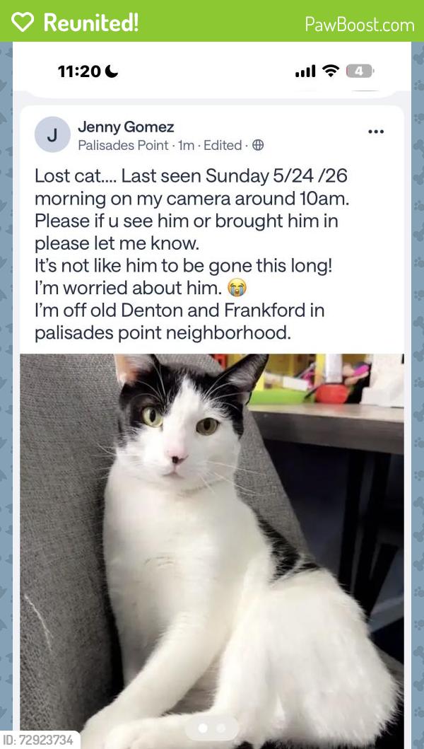 Reunited Male Cat last seen Old Denton and Frankford , Carrollton, TX 75007