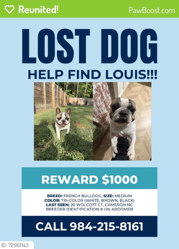 Reunited Male Dog last seen Johnsonville School Rd, North Carolina 28326, USA, Harnett County, NC 28326