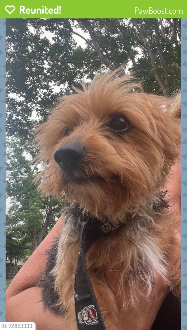Reunited Male Dog last seen Latham Park, Greensboro, NC 27408