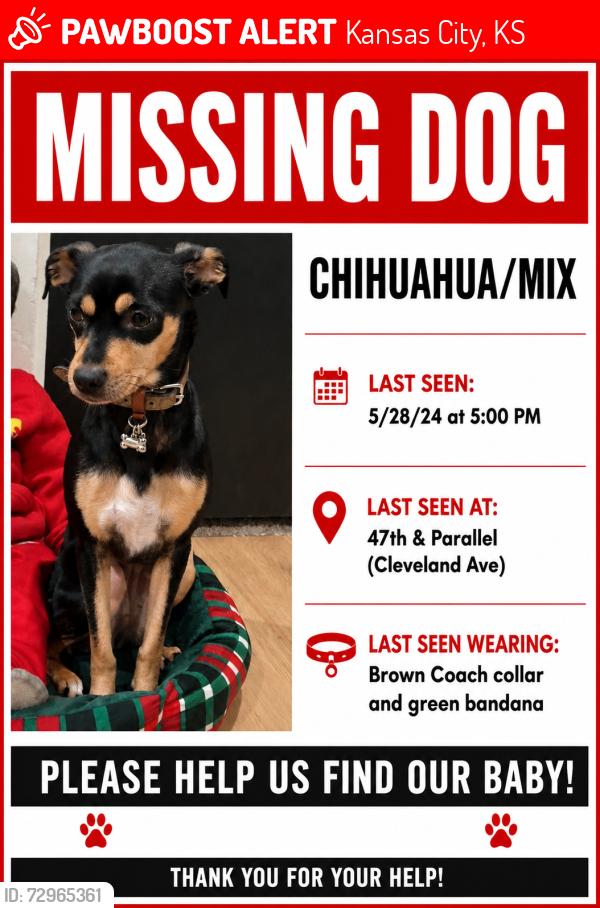 Lost Female Dog last seen Parallel Ave, Kansas City, KS 66102