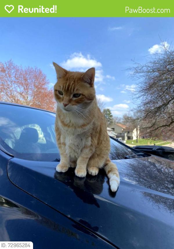 Reunited Male Cat last seen SE 1st & Hughes , Des Moines, IA 50315