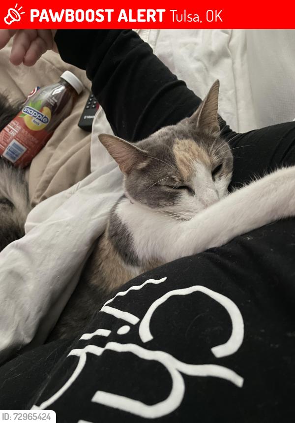 Lost Female Cat last seen Between 122nd and 124th off of East 38th street , Tulsa, OK 74146