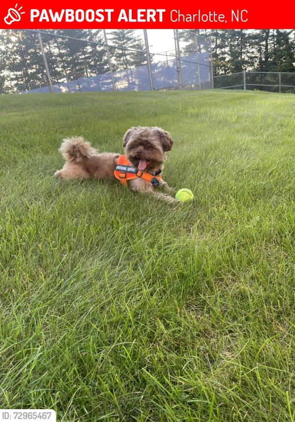 Lost Male Dog last seen Near Smoke Shop, Charlotte, NC 28217