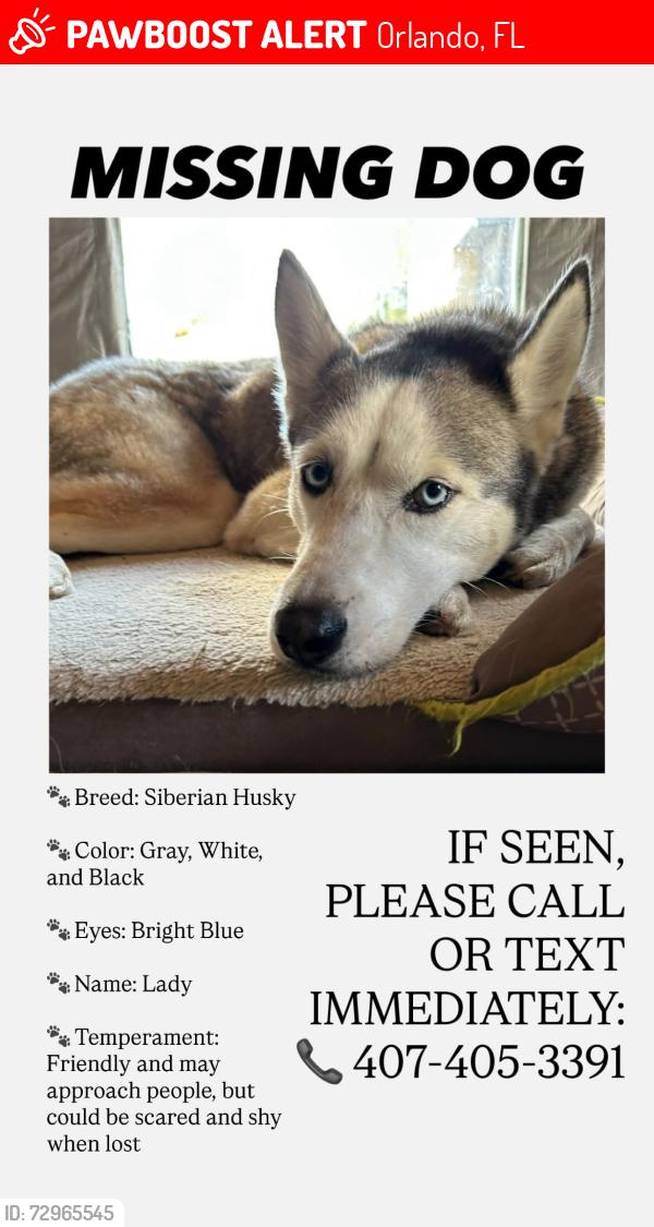 Lost Female Dog last seen Hunter creek area , Orlando, FL 32837